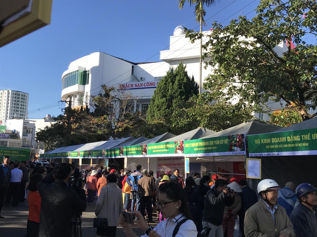 丛杜安嘉莱酒店 波来古市 外观 照片
